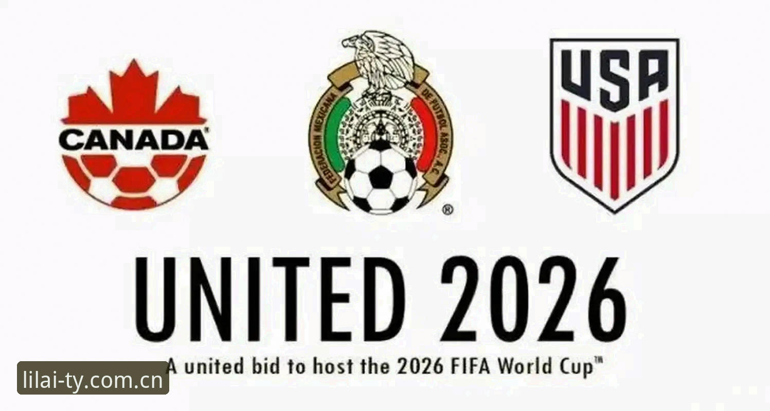 2026世界杯观赛签证受阻操作指南：在利来体育平台看球的前期准备
